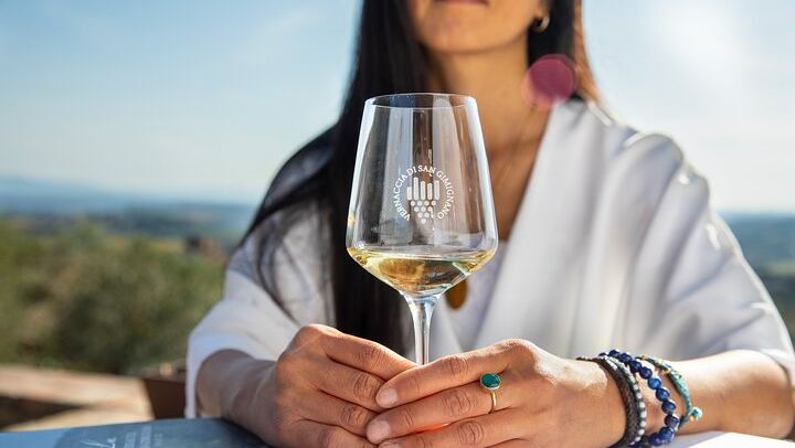 Five-Wine Tasting with Food Pairings at Rocca di Montestaffoli, San Gimignano (2/6)