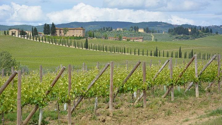 Small-Group Chianti Half-Day: Two Family Wineries, 8 Wines and Home-Cooked Lunch, Max 8 (1/12)