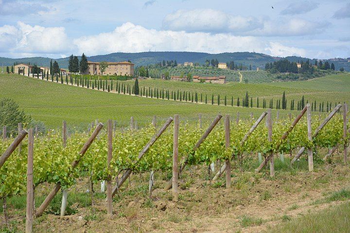 Small-Group Chianti Half-Day: Two Family Wineries, 8 Wines and Home-Cooked Lunch, Max 8 (1/12)