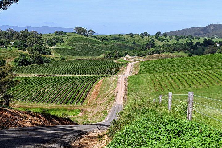 Owner-Led Hunter Valley Day Tour from Sydney: Wine, Cheese, Chocolate and Coffee Stop (1/12)