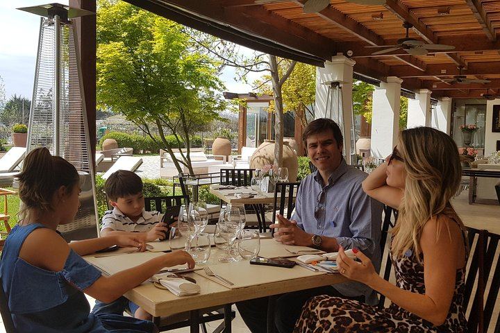 Casas del Bosque and Bodegas RE Wine Tour with Transfer, Tasting and Optional Tanino Lunch (4/5)