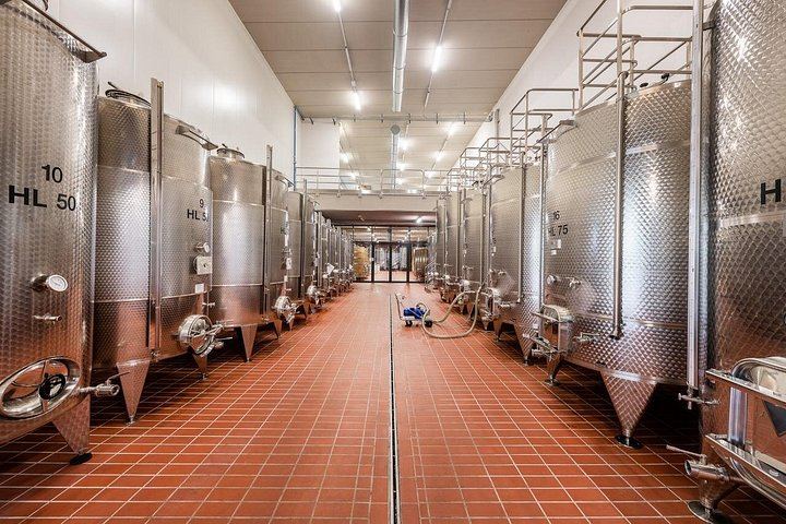 Cantina Moscone in La Morra: Winery Tour and "Il Dosman" Tasting of Three Wines (5/12)