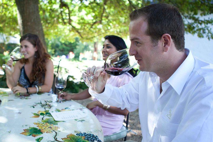 Private Full-Day Stellenbosch Wine Tour with Pickup: Hartenberg to L'Avenir (1/6)