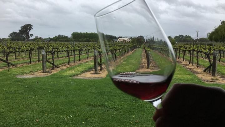 Half-Day Marlborough Wine Tour with a Winemaker Guide, 3-4 Wineries and Lunch (3/10)