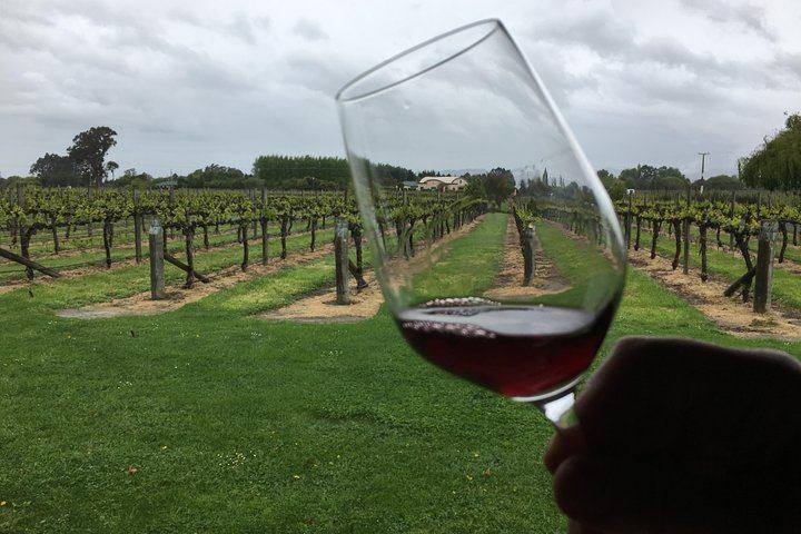 Half-Day Marlborough Wine Tour with a Winemaker Guide, 3-4 Wineries and Lunch (3/10)