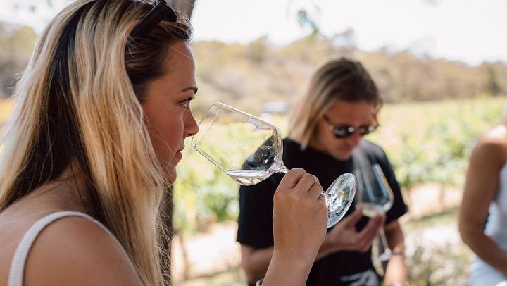 Margaret River Boutique Wine Tour with Blind Tasting and Olio Bello Pizza Lunch (1/5)