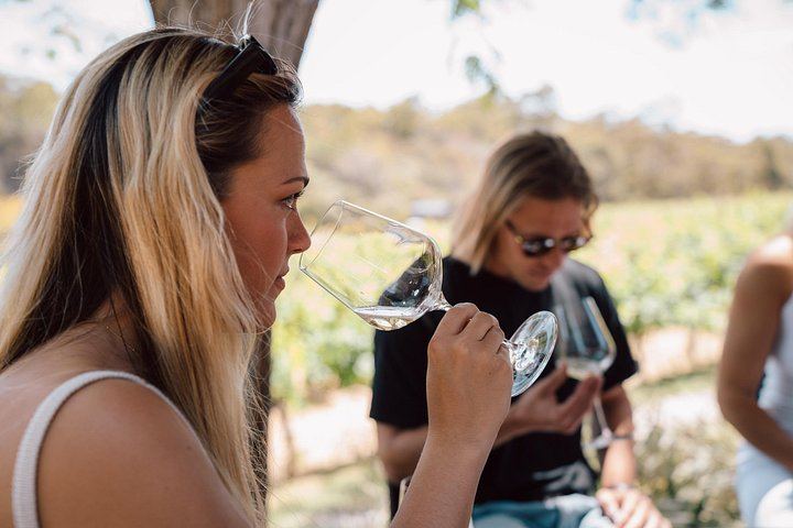 Margaret River Boutique Wine Tour with Blind Tasting and Olio Bello Pizza Lunch (1/5)