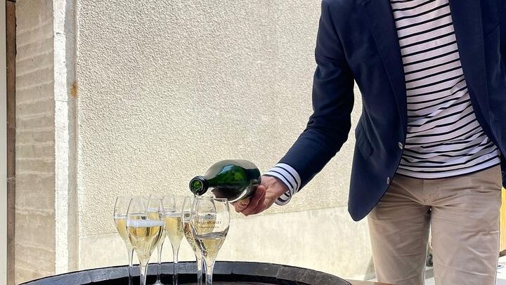 Private Door-to-Door Champagne Tour from Paris: Family Cellar Tasting and Hautvillers (4/12)