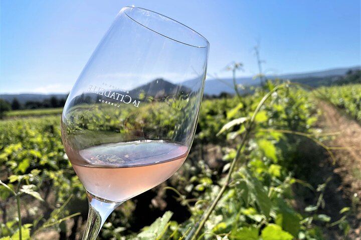 Private Full-Day Provence Wine Tour with Hotel Pickup from Marseille, Aix or Avignon (8/10)