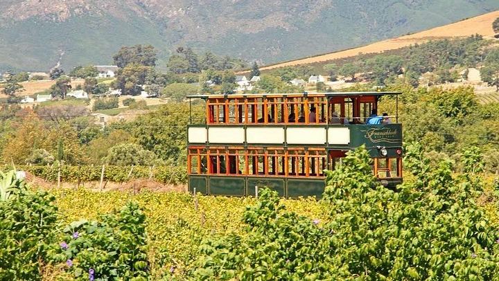 Winelands Day by Minivan and Wine Tram: Fairview, Rickety Bridge or Plaisir, Muratie (3/12)