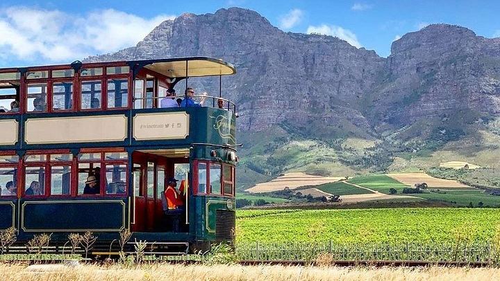 Winelands Day by Minivan and Wine Tram: Fairview, Rickety Bridge or Plaisir, Muratie (1/12)