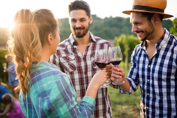 Winelands Day by Minivan and Wine Tram: Fairview, Rickety Bridge or Plaisir, Muratie