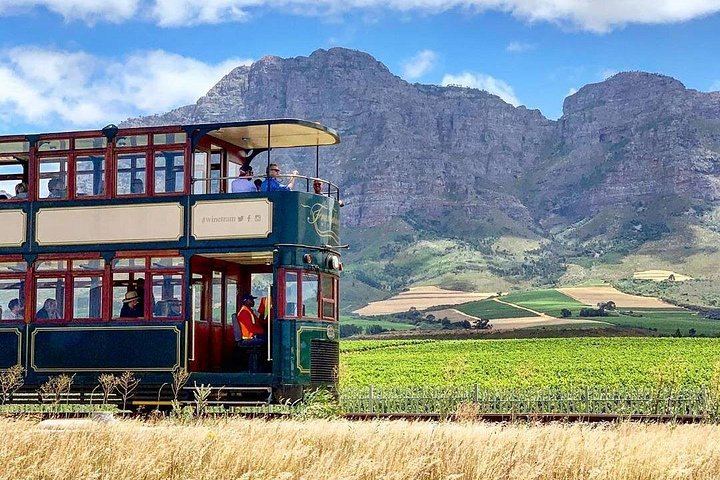 Winelands Day by Minivan and Wine Tram: Fairview, Rickety Bridge or Plaisir, Muratie (1/12)