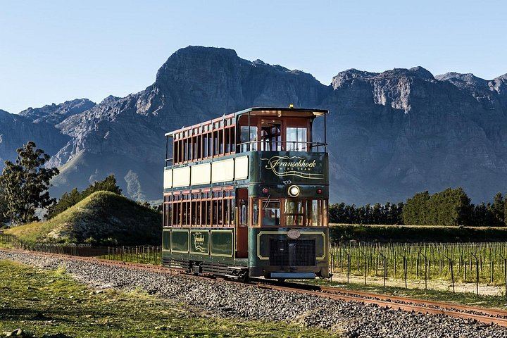 Winelands Day by Minivan and Wine Tram: Fairview, Rickety Bridge or Plaisir, Muratie (9/12)