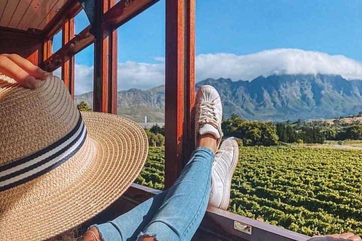 Winelands Day by Minivan and Wine Tram: Fairview, Rickety Bridge or Plaisir, Muratie (4/12)