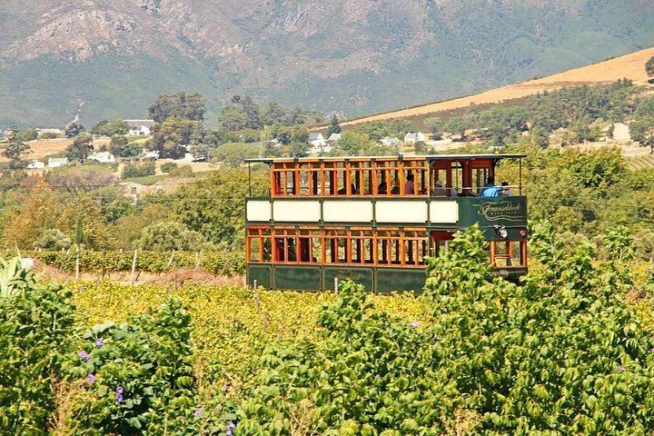 Winelands Day by Minivan and Wine Tram: Fairview, Rickety Bridge or Plaisir, Muratie (3/12)