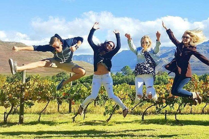 Winelands Day by Minivan and Wine Tram: Fairview, Rickety Bridge or Plaisir, Muratie (8/12)