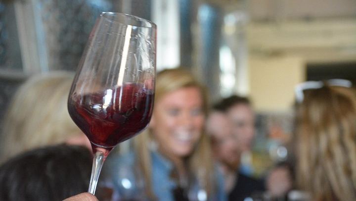 Chianti Classico Half-Day Wine Tour from Florence: 2 Family Wineries and Lunch (4/9)