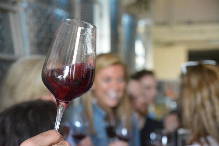 Chianti Classico Half-Day Wine Tour from Florence: 2 Family Wineries and Lunch (4/9)