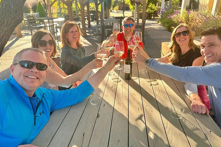 Healdsburg Dry Creek Valley Bike Tour: Three Wineries and Picnic Lunch (2/9)
