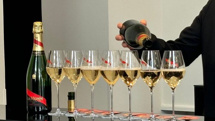 Full-Day Champagne Tour: Mumm Cellars in Reims, Winery Lunch, Hautvillers, Family Grower (2/12)