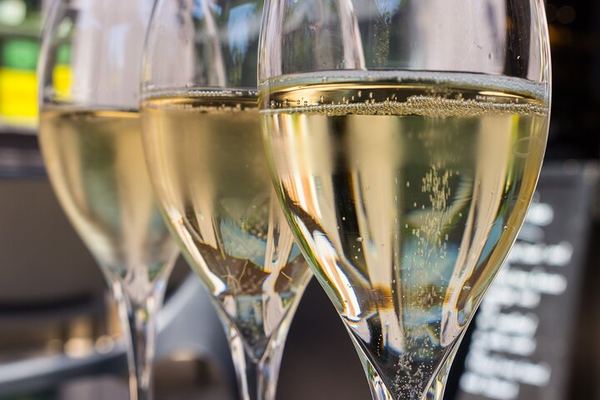 Personalised Champagne Day Trip from Paris with an Owner-Guide, Starbucks Odeon Departure