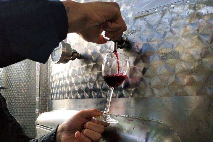 Private Kakheti Wine Day: Qvevri Master, Kvareli Tunnel, Kindzmarauli and KTW Tastings (9/9)