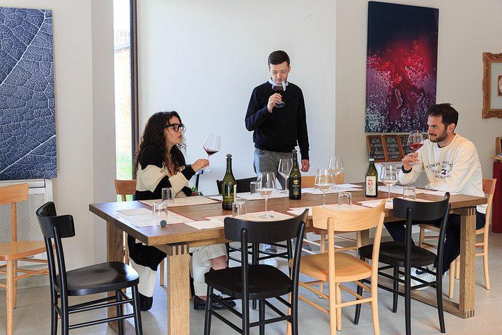 Private Sommelier-Led Langhe Hills Day: Barolo and Barbaresco Wineries, Osteria Lunch (6/12)