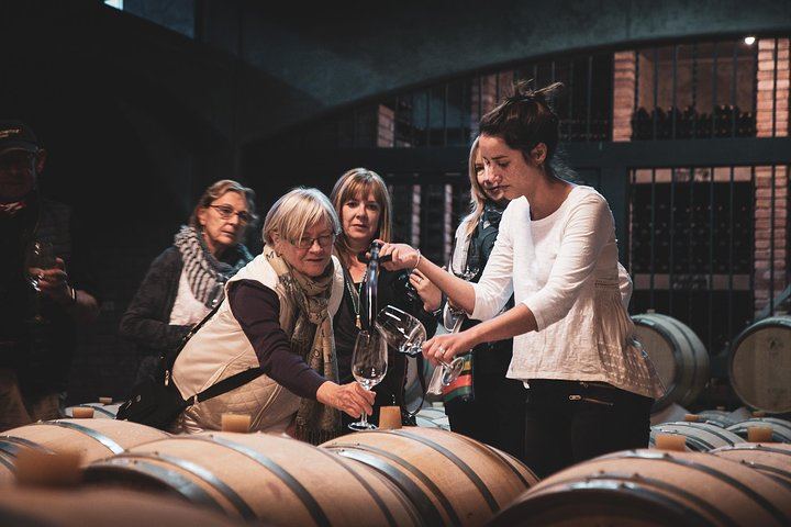 Private Luxury Uco Valley Day: Clos de los Siete, Piedra Negra and La Morada Lunch (7/12)