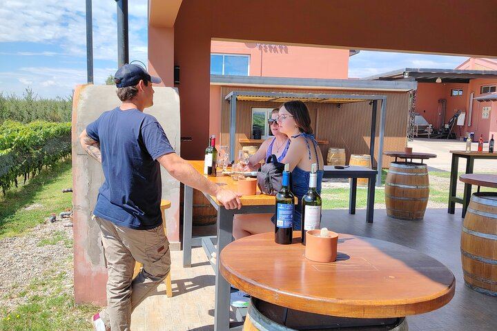 Private Uco Valley Wine Tasting Tour: Salentein, Finca Adelma, Bousquet (9/10)