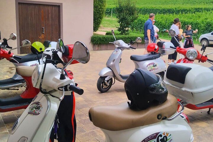 Private Vespa Tour from Alba through the Barolo and Barbaresco Hills with a Pro Guide (9/10)