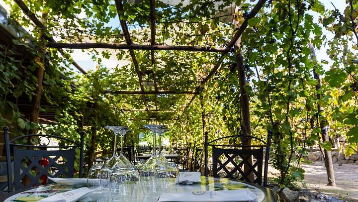 Private Wine Tasting and Lunch at Bosco de' Medici Winery Beside Pompeii's Ruins (1/12)