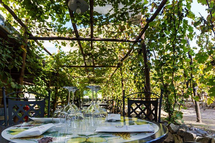 Private Wine Tasting and Lunch at Bosco de' Medici Winery Beside Pompeii's Ruins (1/12)