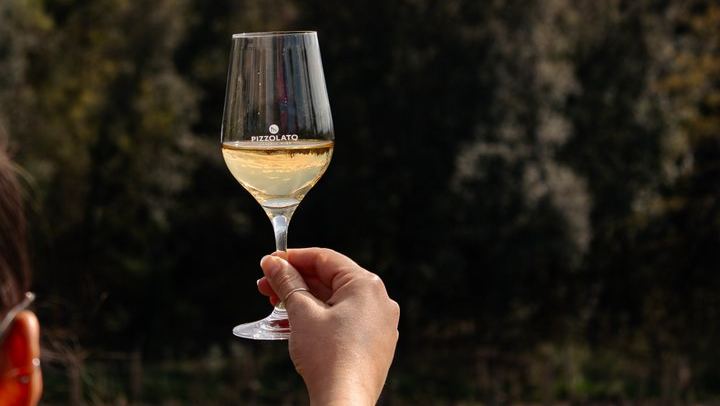 Casale Terzo Tasting of Three Organic Wines and Estate Olive Oil, Val d'Elsa (3/10)