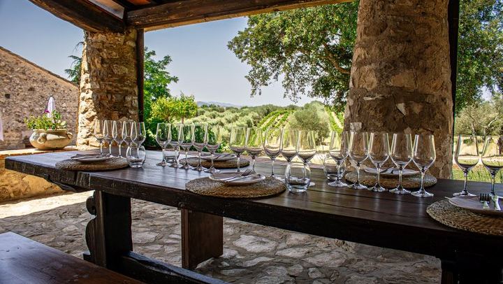 Casale Terzo Tasting of Three Organic Wines and Estate Olive Oil, Val d'Elsa (2/10)