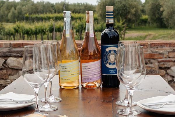 Casale Terzo Tasting of Three Organic Wines and Estate Olive Oil, Val d'Elsa