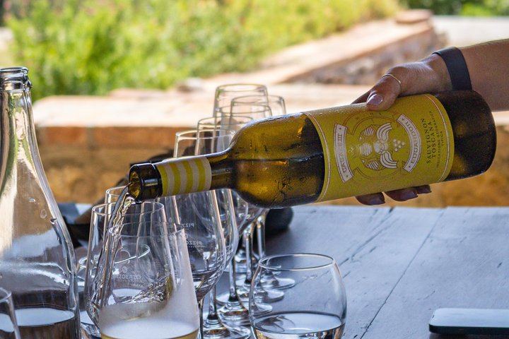 Casale Terzo Tasting of Three Organic Wines and Estate Olive Oil, Val d'Elsa (7/10)