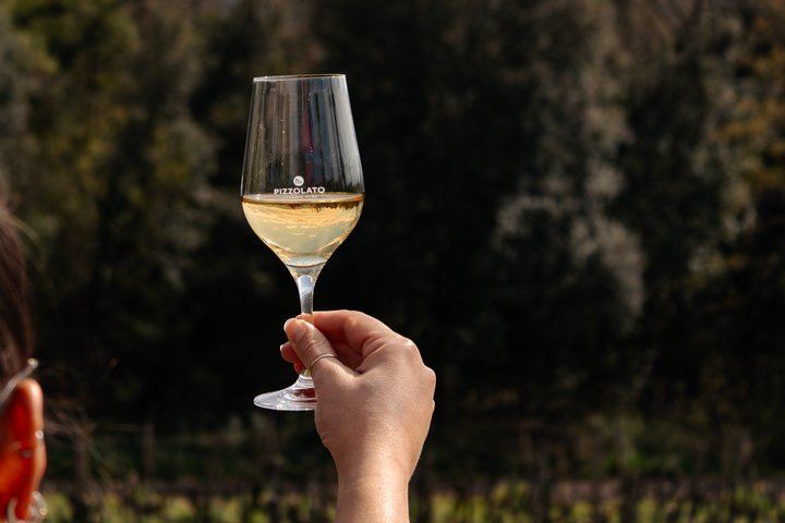 Casale Terzo Tasting of Three Organic Wines and Estate Olive Oil, Val d'Elsa (3/10)