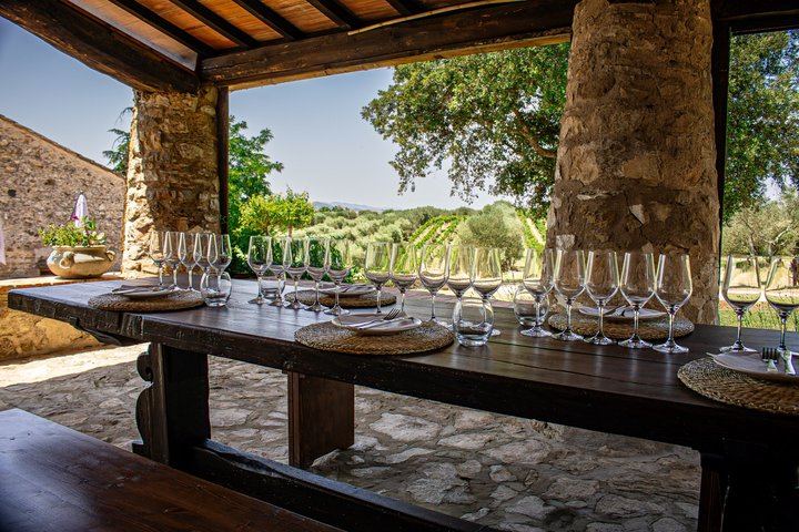 Casale Terzo Tasting of Three Organic Wines and Estate Olive Oil, Val d'Elsa (2/10)