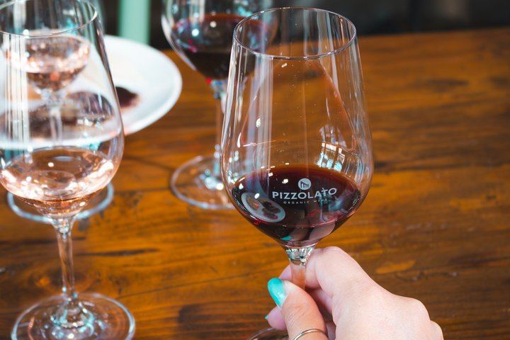 Casale Terzo Tasting of Three Organic Wines and Estate Olive Oil, Val d'Elsa (8/10)
