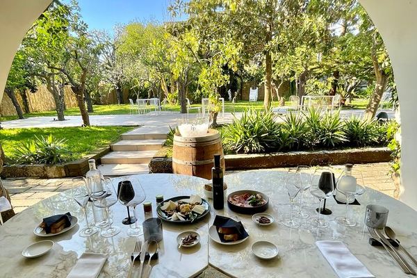 Sorrento Garden Tasting of 5 Premium Wines from Amalfi, Capri, Ischia and Vesuvius