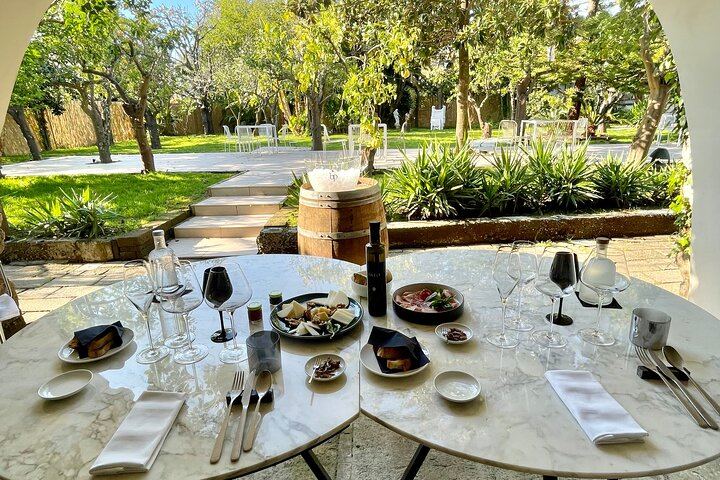 Sorrento Garden Tasting of 5 Premium Wines from Amalfi, Capri, Ischia and Vesuvius (12/12)