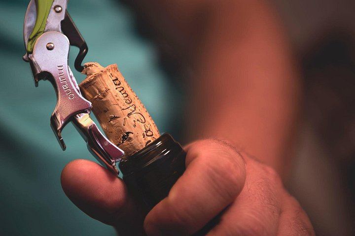 Ca'Neuva Family Farm Winery in Dogliani: Seven-Wine Tasting and Cellar Visit (10/12)