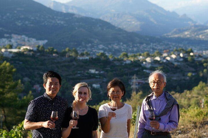 Nice Vineyard Visit and Winery Tour with Sommelier, 3 Options from Group to Private (9/12)