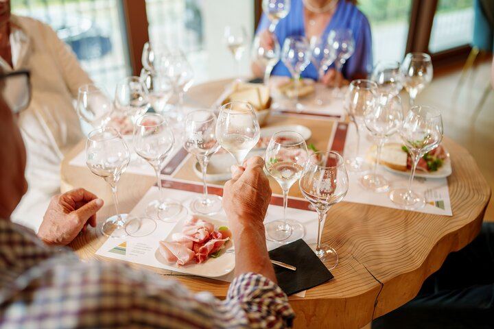 Private Prosecco DOCG Tasting at a Historic Saccol Winery in Valdobbiadene (2/10)