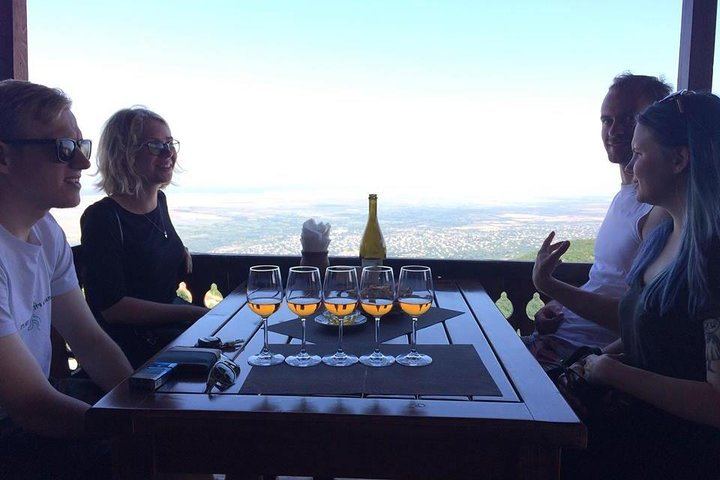 Private Organic Wine Day Trip from Tbilisi: Gvardzelashvili, Vellino and Okros Cellars (1/12)