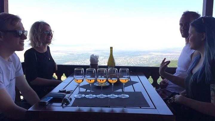 Private Organic Wine Day Trip from Tbilisi: Gvardzelashvili, Vellino and Okros Cellars (1/12)