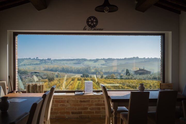 Le Bèrne Winery Tour in Cervognano with Vino Nobile and Sangiovese Tasting (6/12)