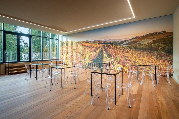 Cantina Moscone in La Morra: Winery Tour and "Il Dosman" Tasting of Three Wines (9/12)