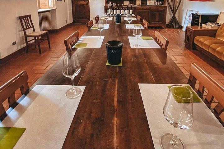 Ca'Neuva Family Farm Winery in Dogliani: Seven-Wine Tasting and Cellar Visit (5/12)